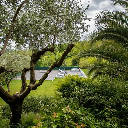 Green Paradise *